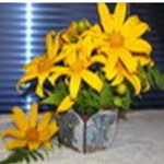 African Elephant Flower Vase