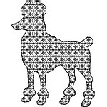 Dog 10